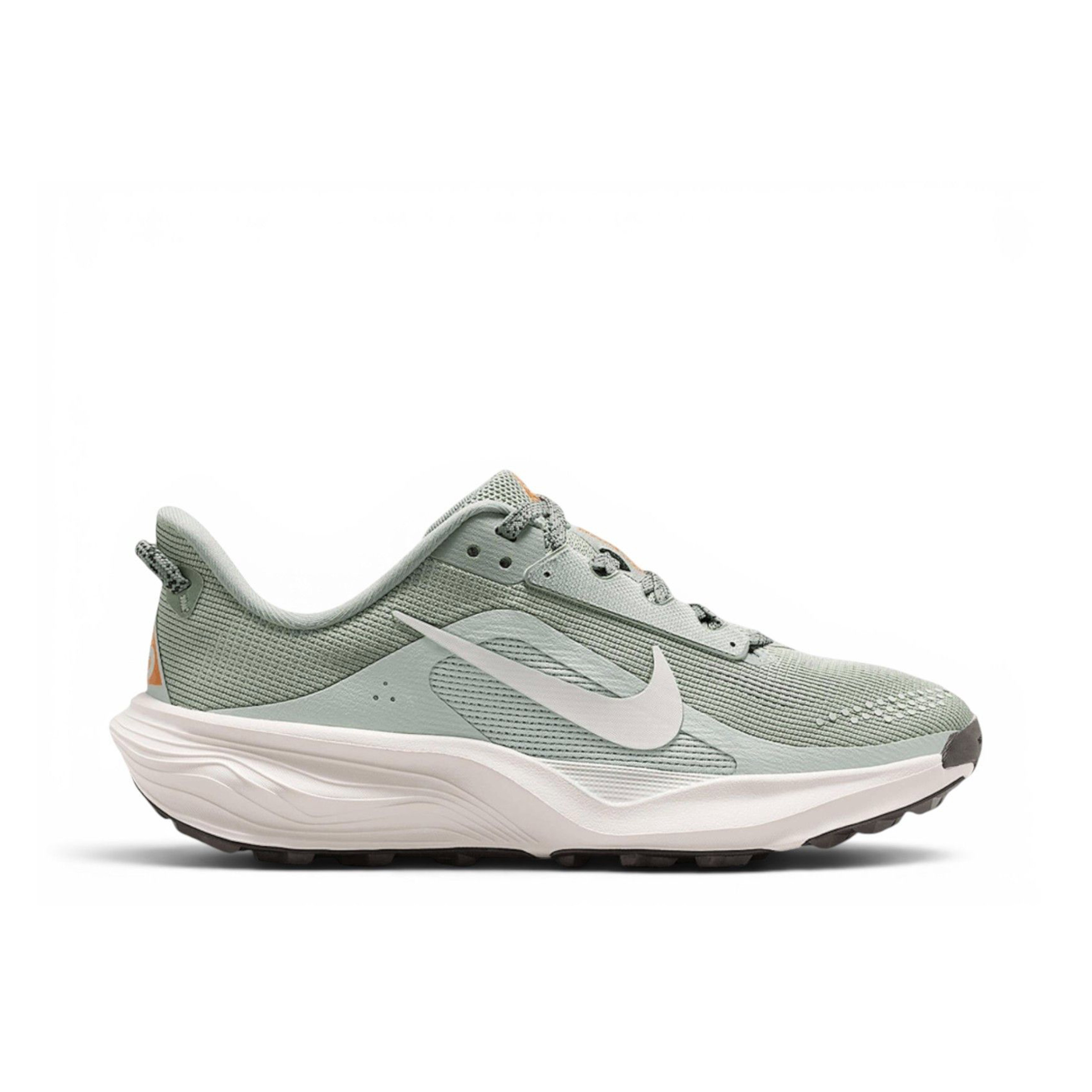 Nike ACG Pegasus Trail Jade Horizon Light Silver GS