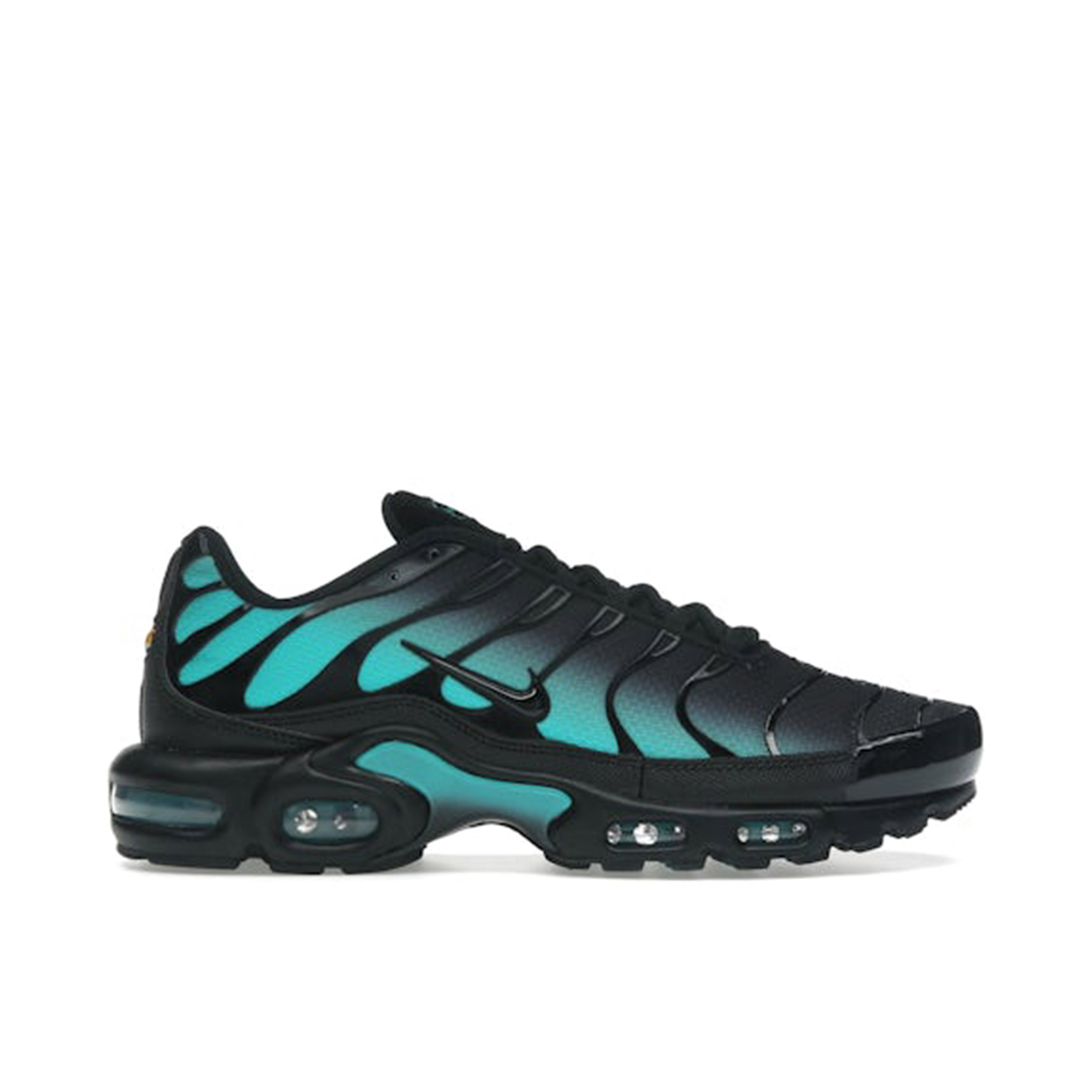 Nike Air Max Plus Black Dusty Cactus