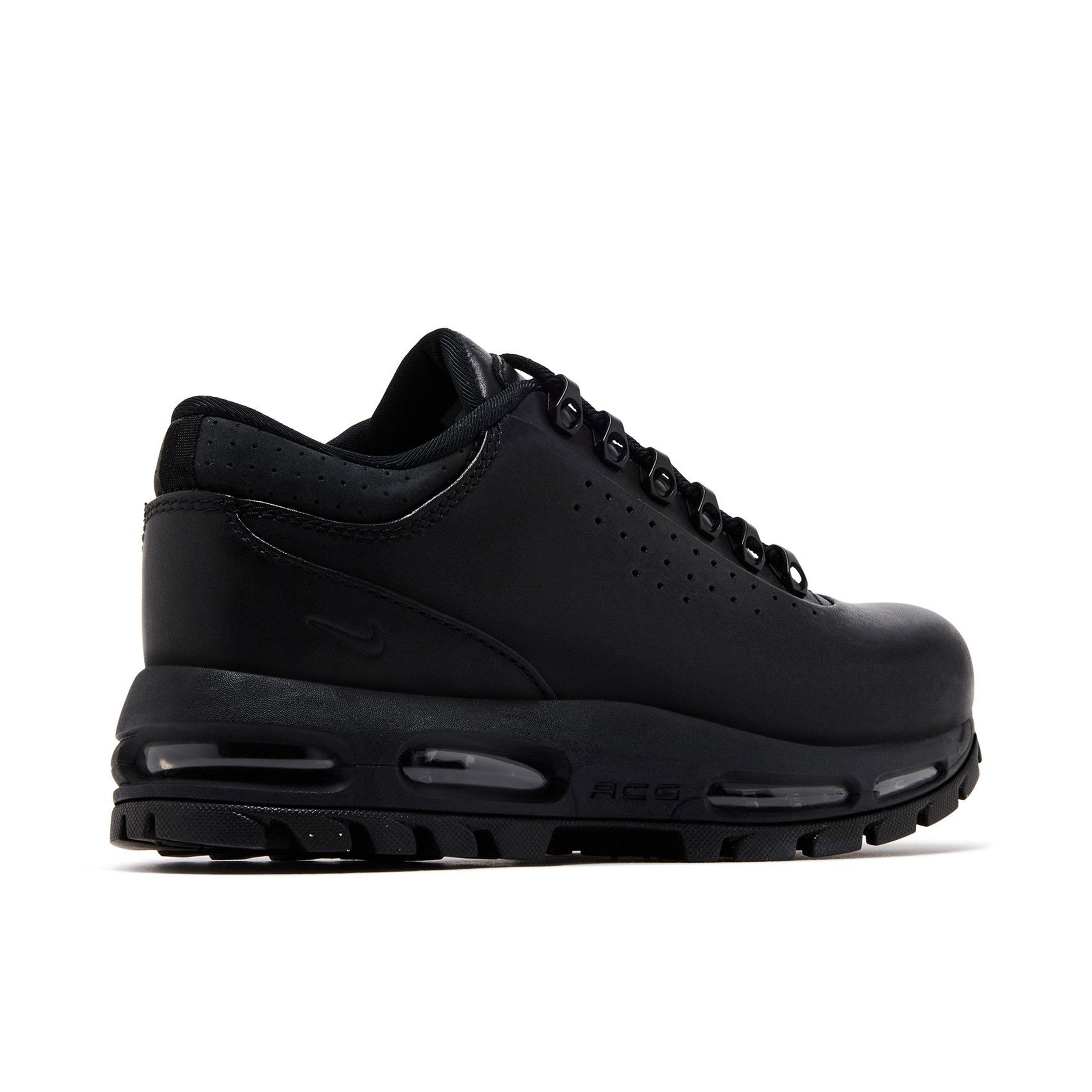 Nike Air Max Goadome Low Black