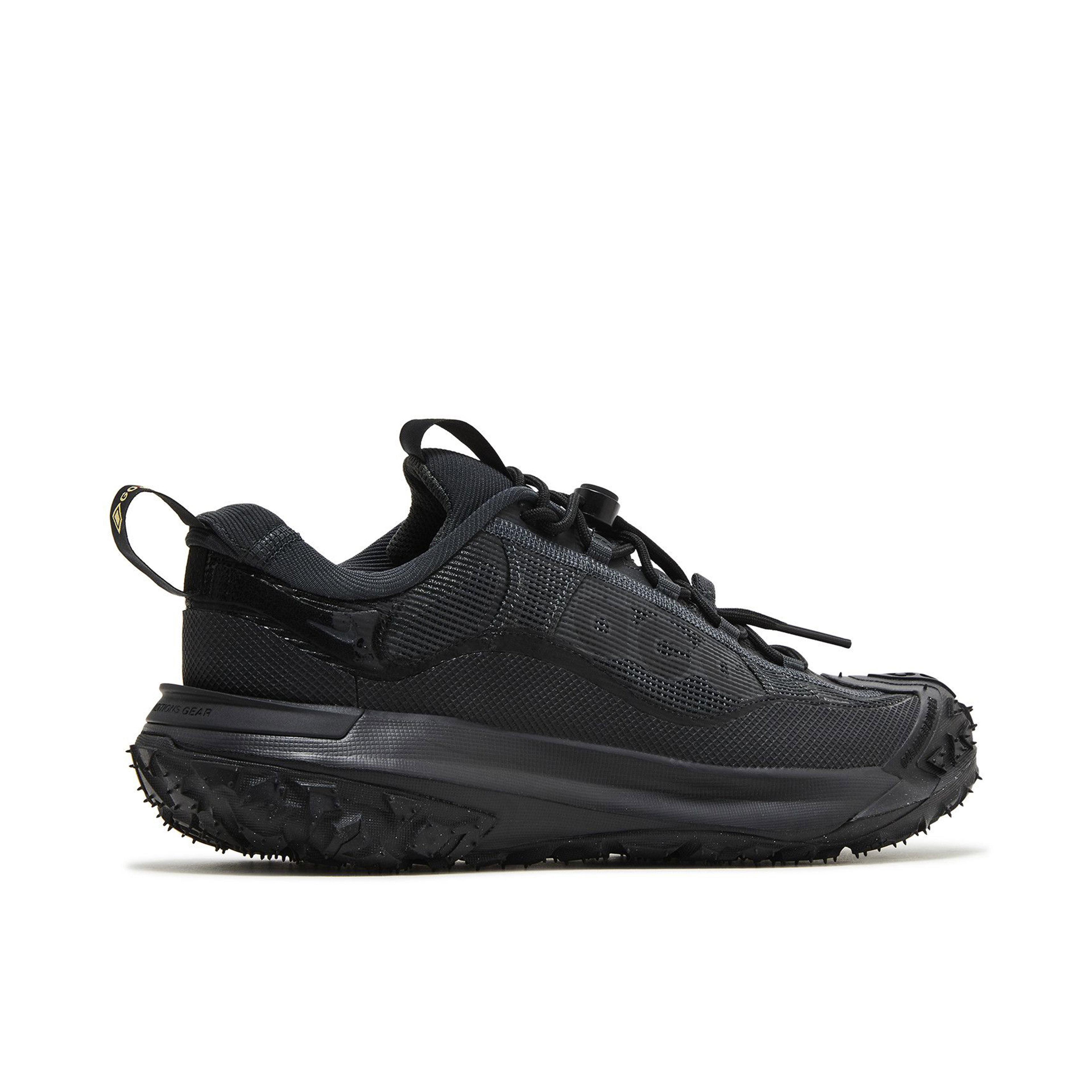 Nike ACG Mountain Fly 2 Low Dark Smoke Grey