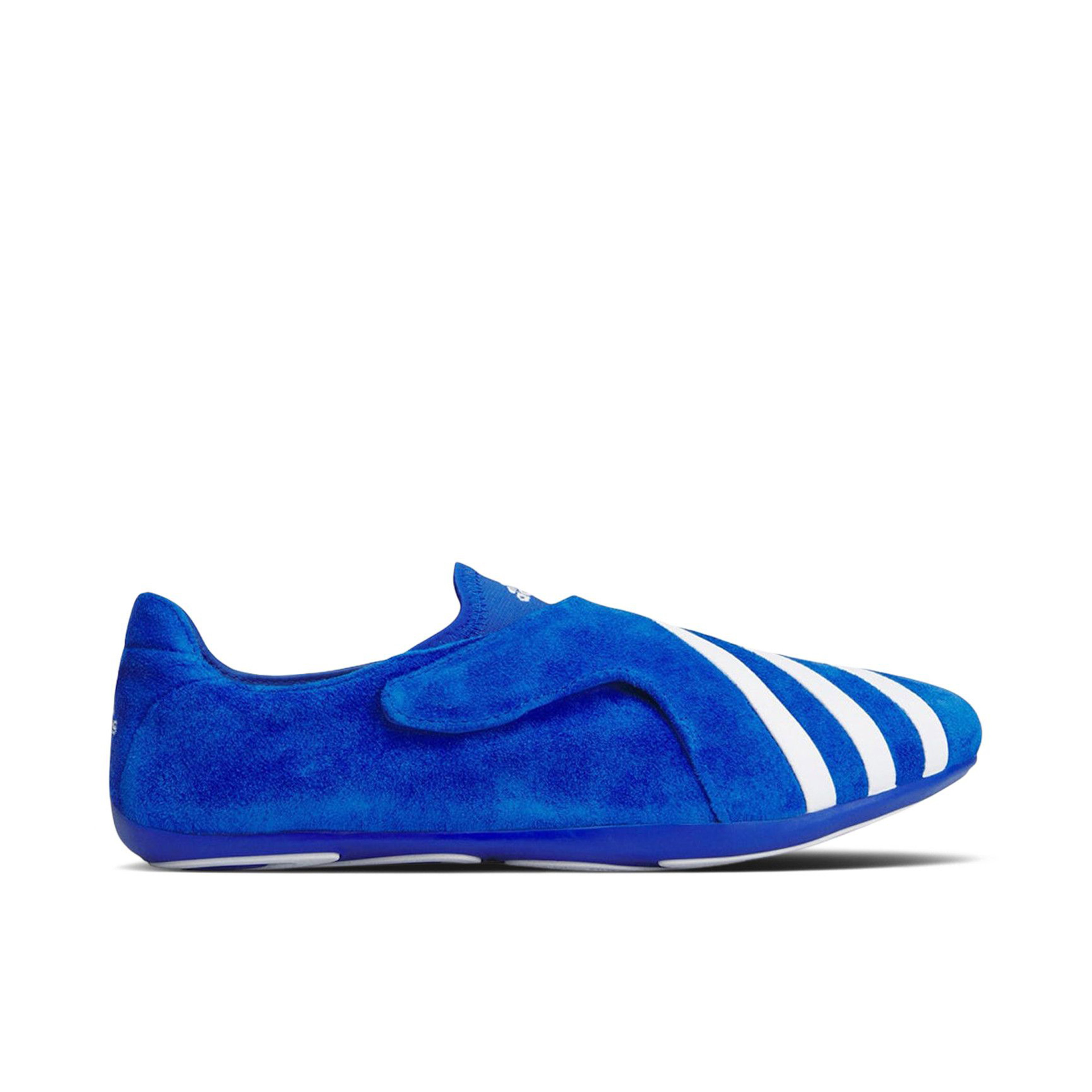 Adidas Vario Flat Earther Pharrell Blue White