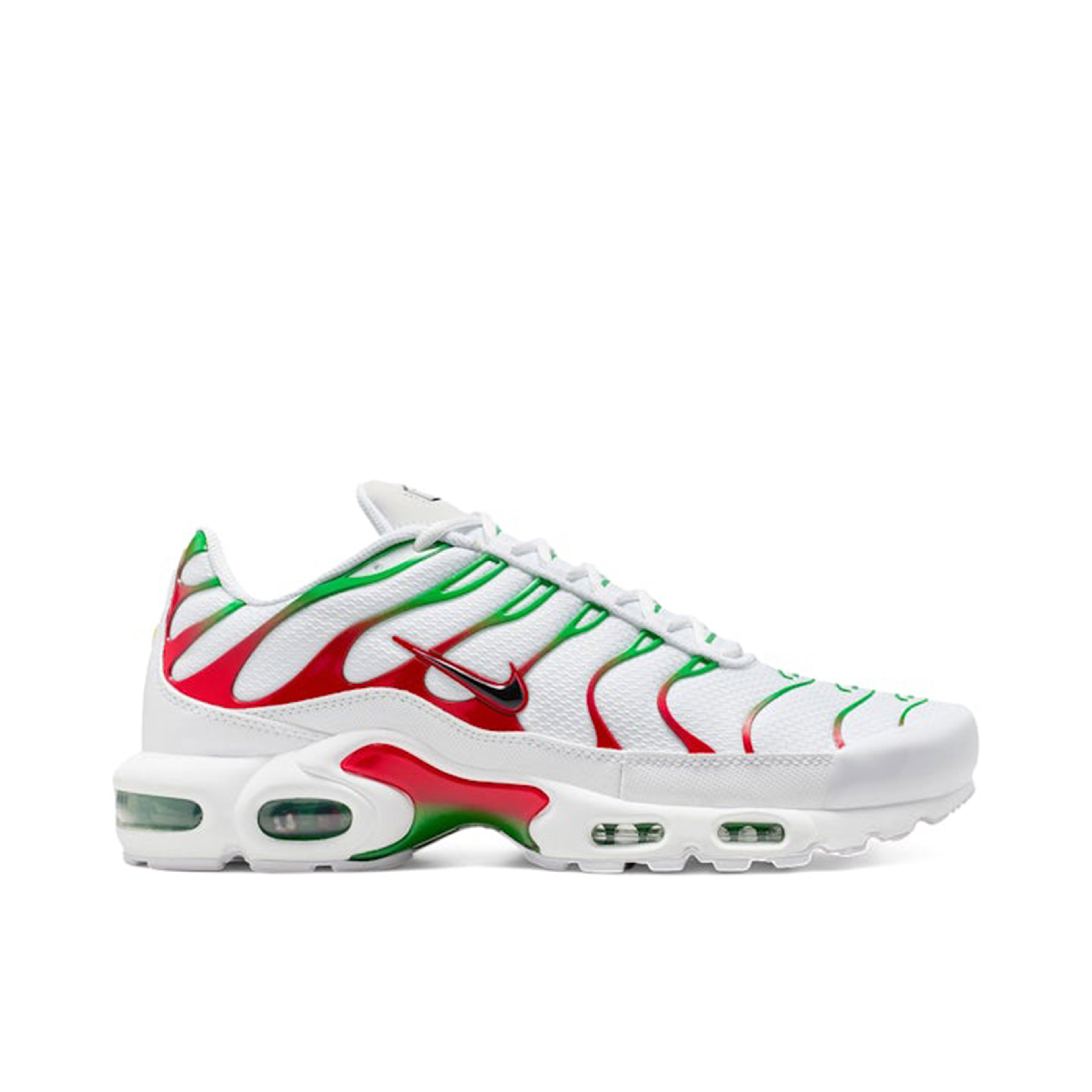 Nike Air Max Plus Italy