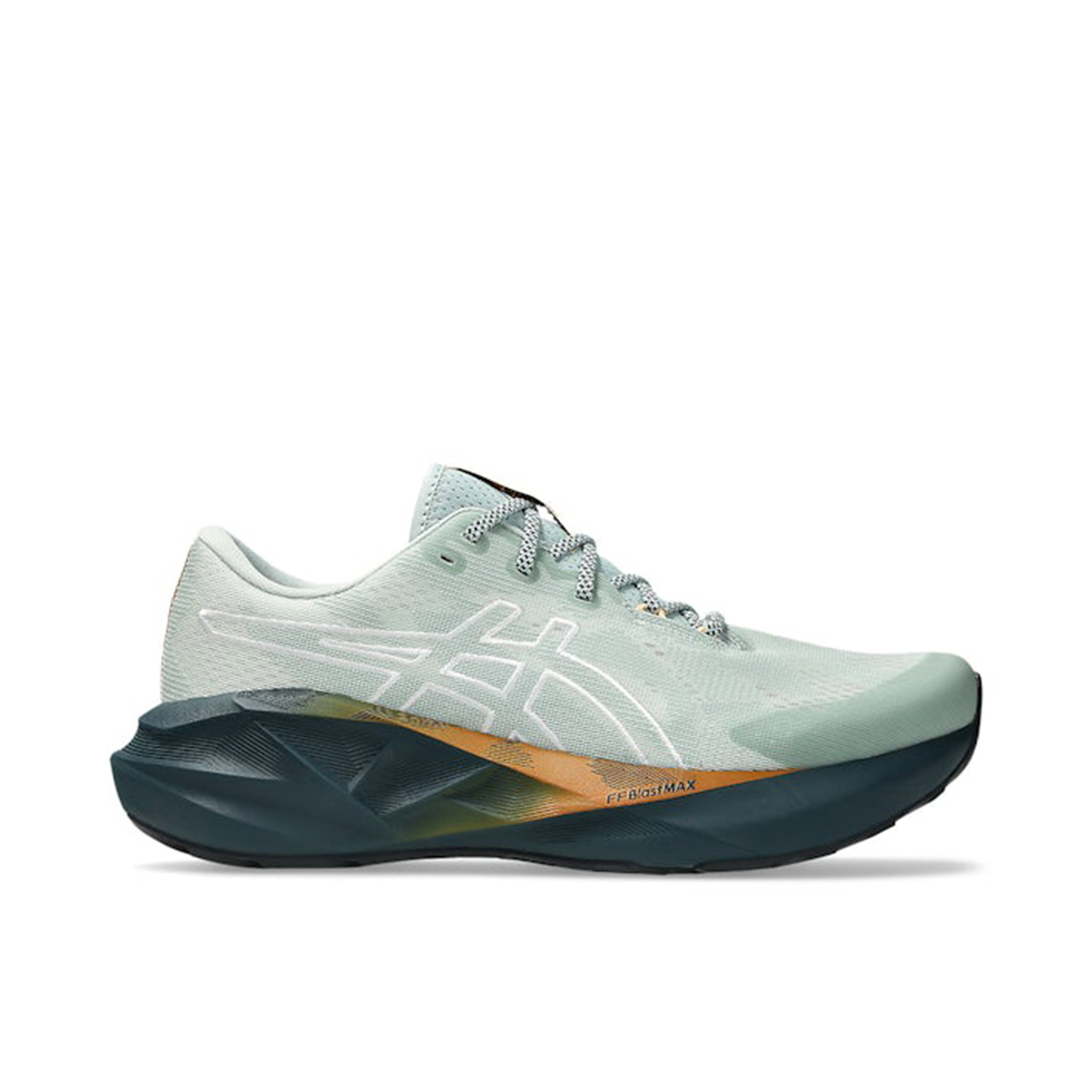 ASICS Novablast 5 TR Nature Bathing Lichen Rock