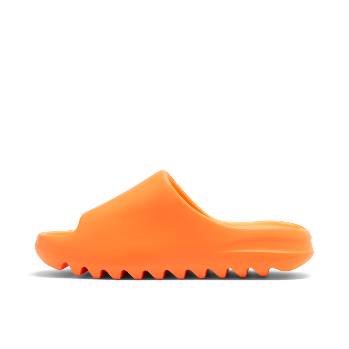 02.png?width=1200