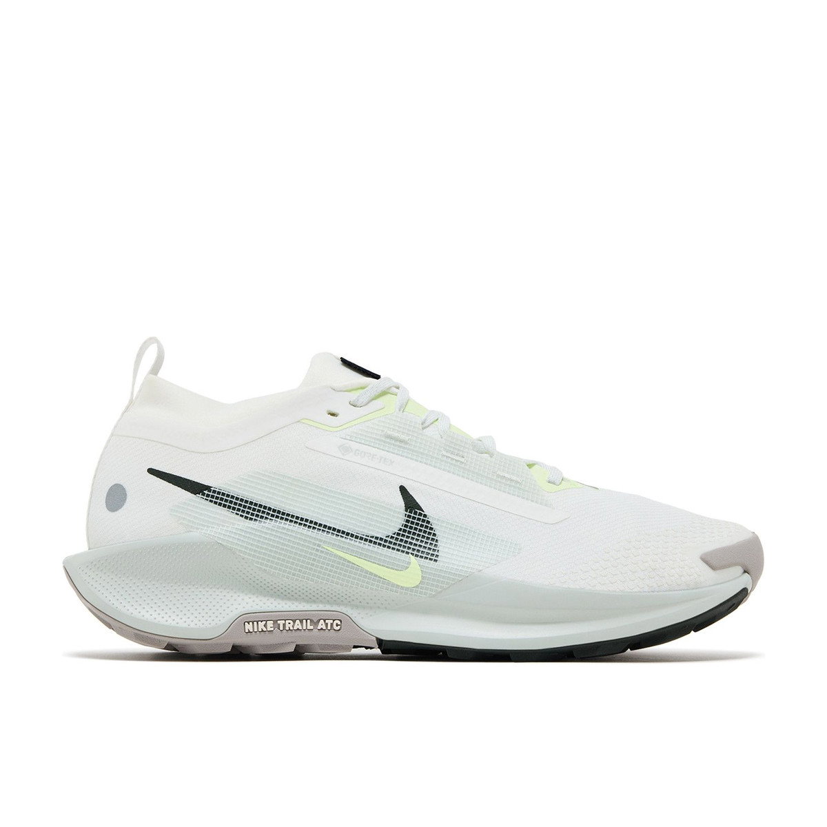 Nike Pegasus Trail 5 Gore-Tex Summit White Light Silver College Grey Sequoia