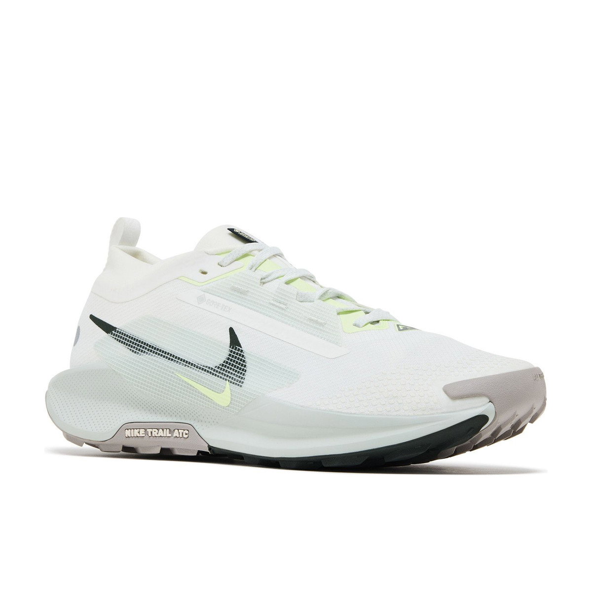 Nike Pegasus Trail 5 Gore-Tex Summit White Light Silver College Grey Sequoia