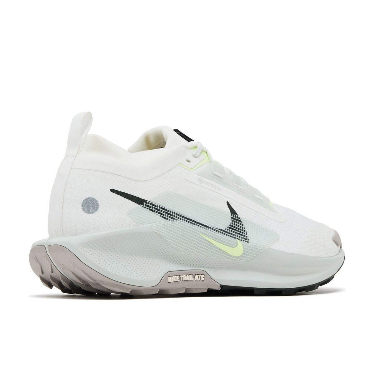 Nike Pegasus Trail 5 Gore-Tex Summit White Light Silver College Grey Sequoia