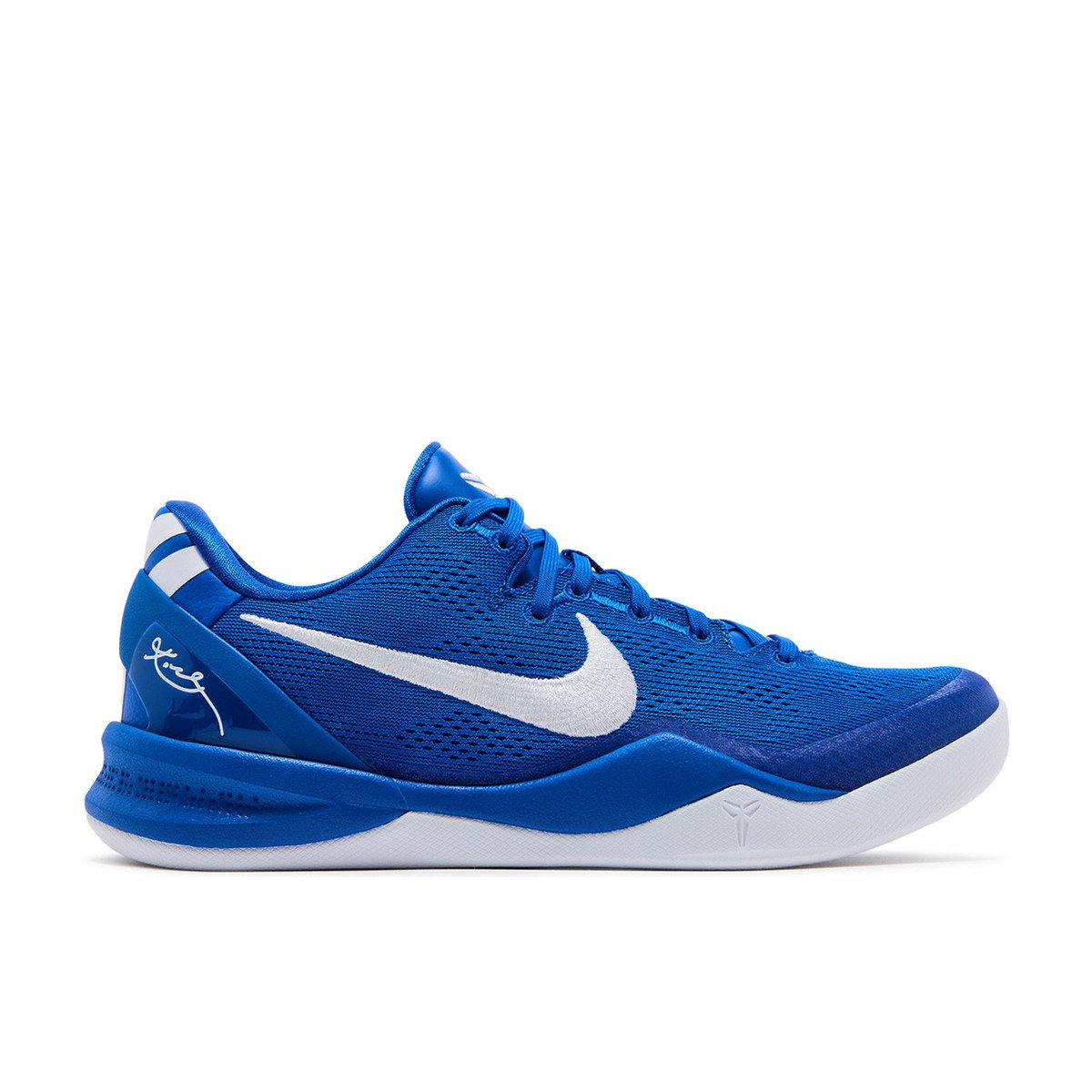 Nike Kobe 8 Protro TB Game Royal