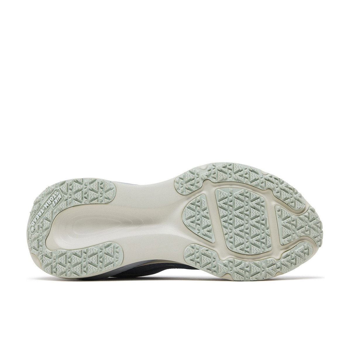Nike Vomero 18 Gore-Tex Pure Platinum Light Pumice