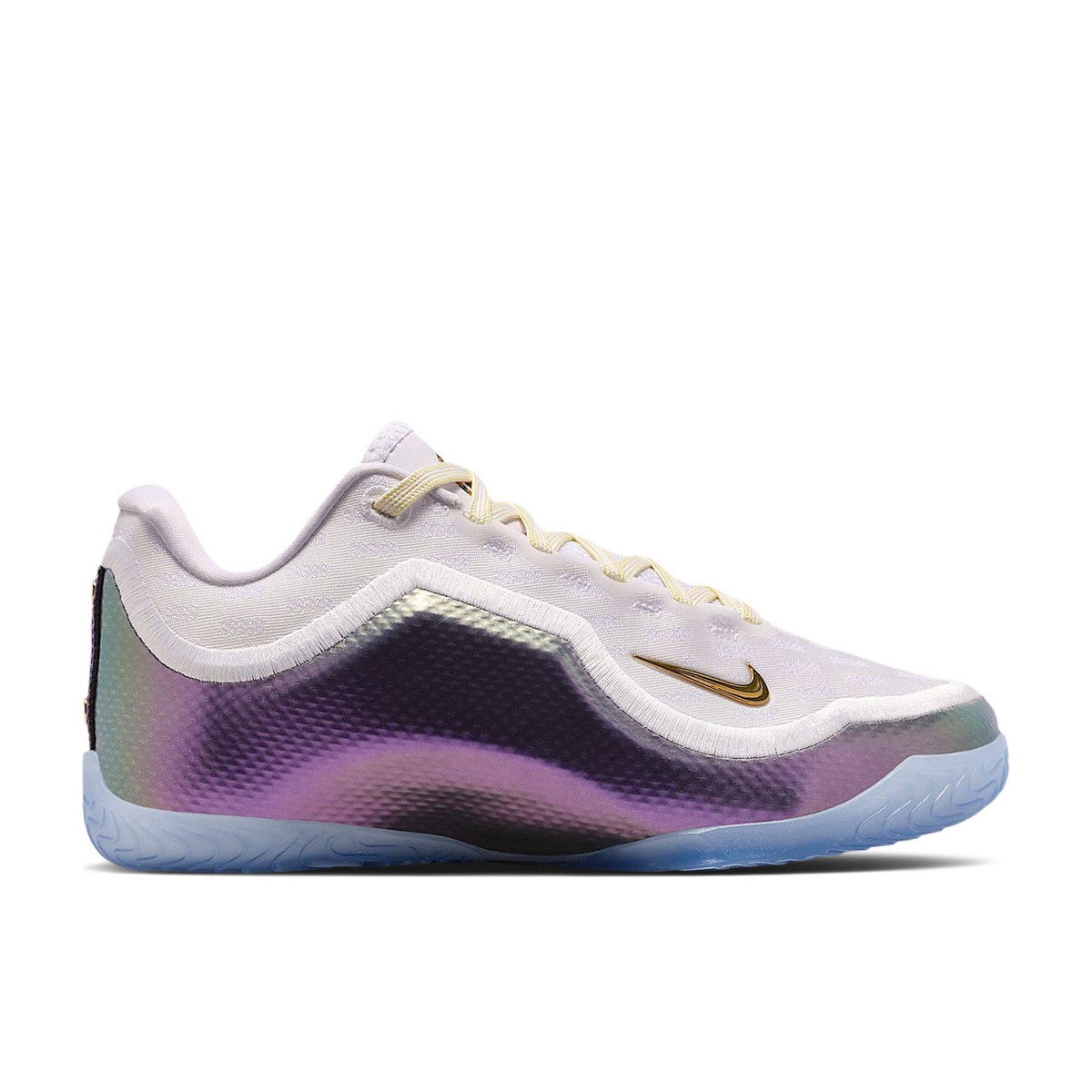 Nike LeBron 23 For The Record GS