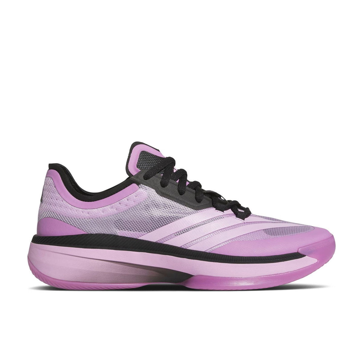 Adidas Adizero Select 2.0 Low Powder Plum Black