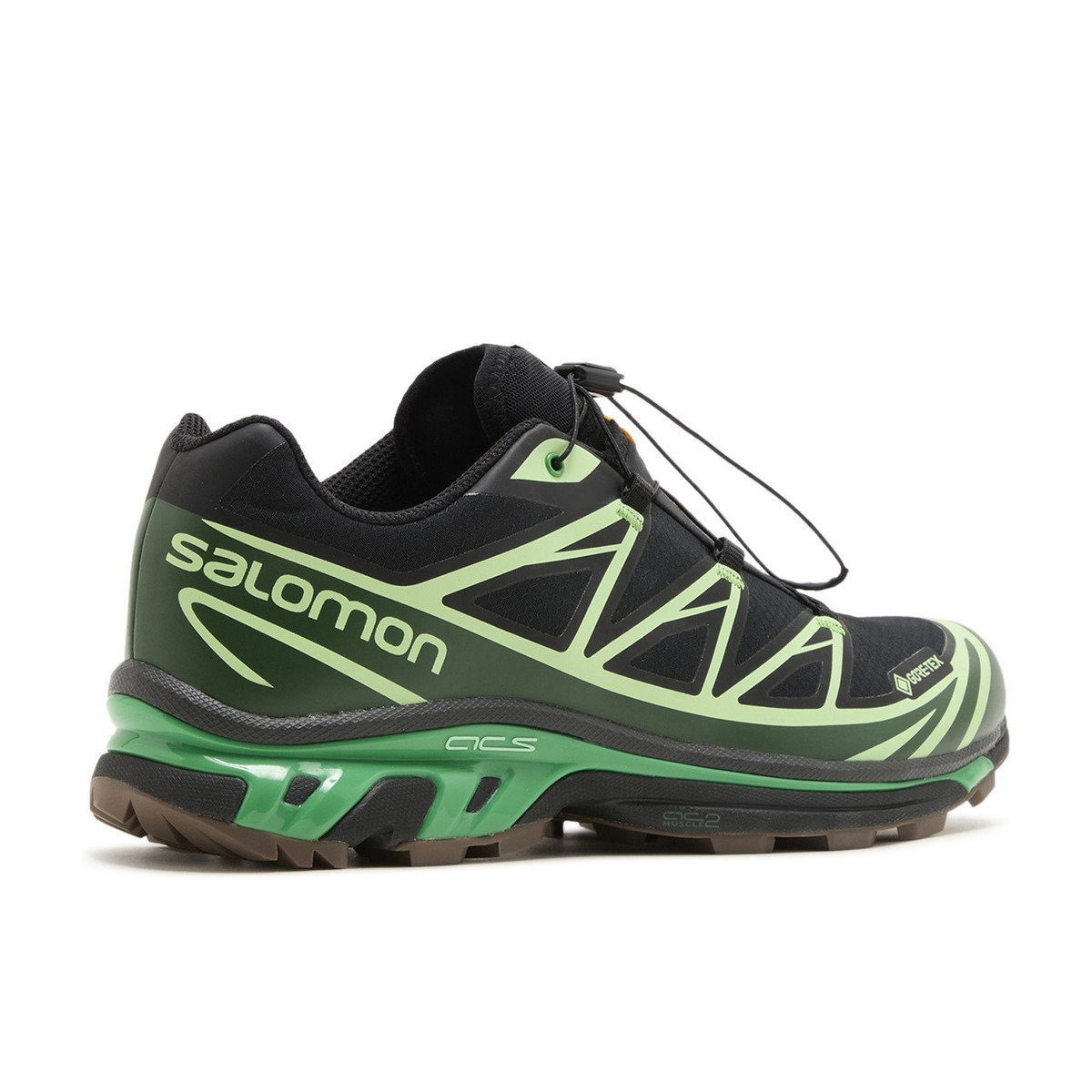 Salomon Advanced XT-6 Gore-Tex Eden Green Ash