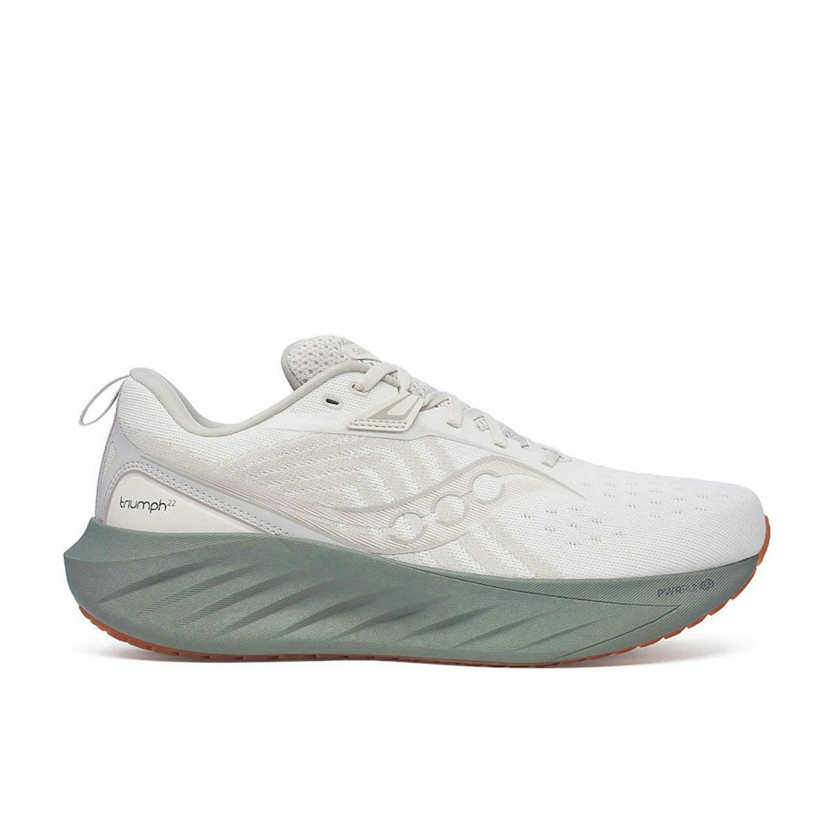 Saucony Triumph 22 Moon Bough