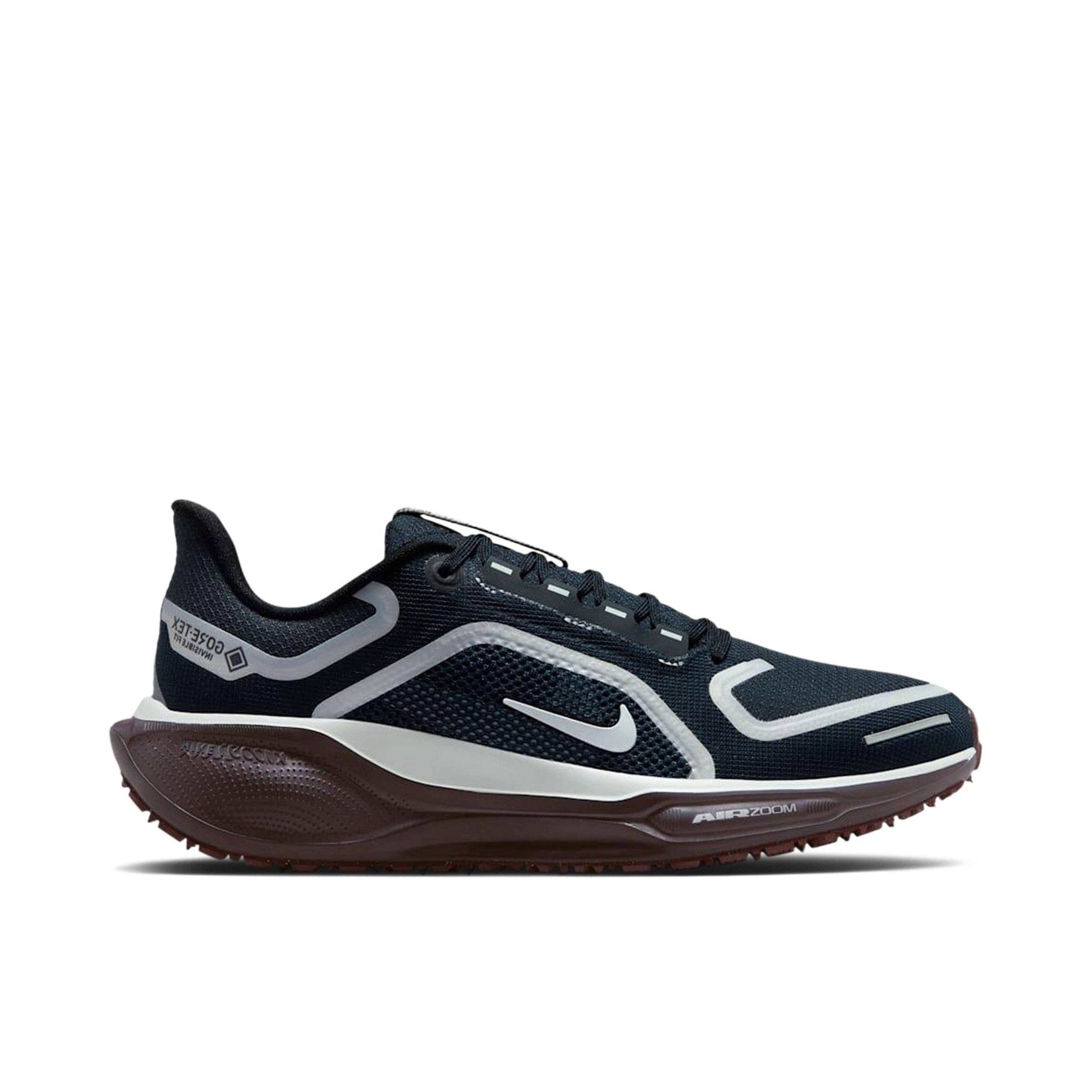 Nike Air Zoom Pegasus 41 Gore-Tex Dark Obsidian Anthracite Pure Platinum Womens