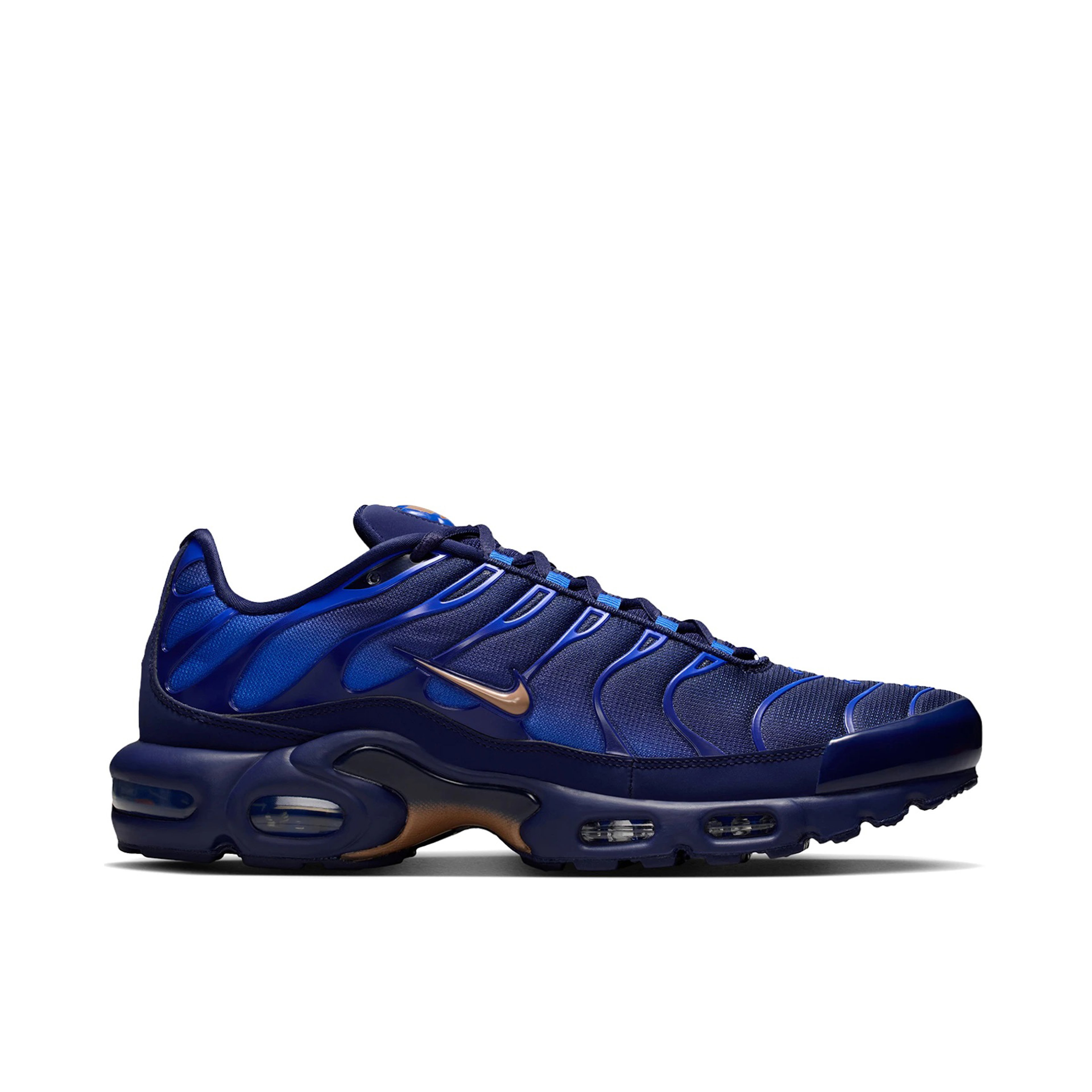 Nike Air Max Plus French Football Federation