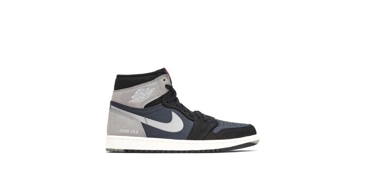 Air Jordan 1 High Element Gore-Tex Shadow | DB2889-001 | Laced