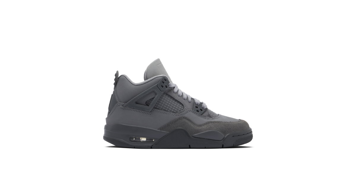 Air Jordan 4 Retro SE Paris Olympics Wet Cement GS | HM8965-001 